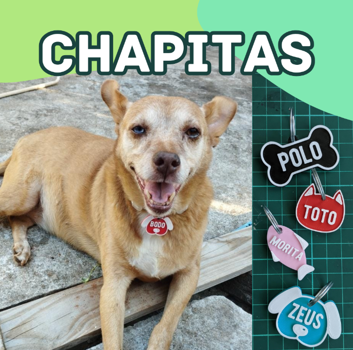 Chapitas Identificatorias de Mascotas con Número de Teléfono 2 Chapitas Identificatorias de Mascotas con Número de Teléfono 2